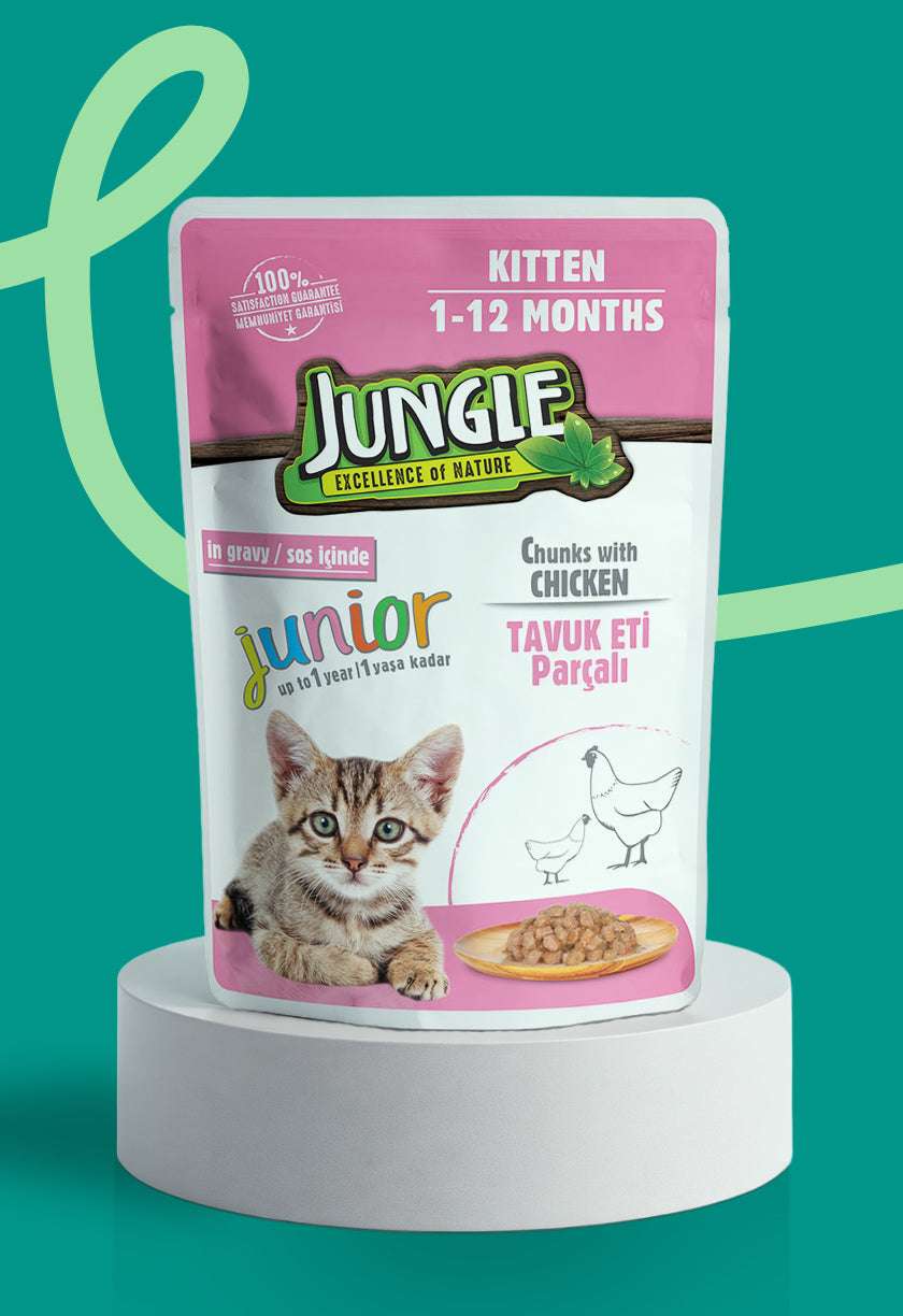 thevitalpetcare.com vital pet care